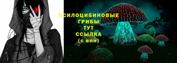 мяу мяу мука Арсеньев