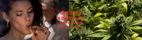 мяу мяу мука Арсеньев