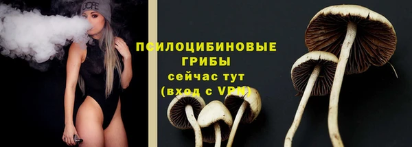 ALPHA-PVP Аркадак