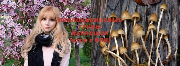 стафф Армянск