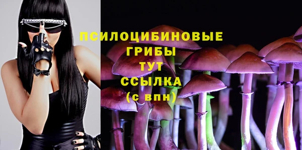 стафф Армянск